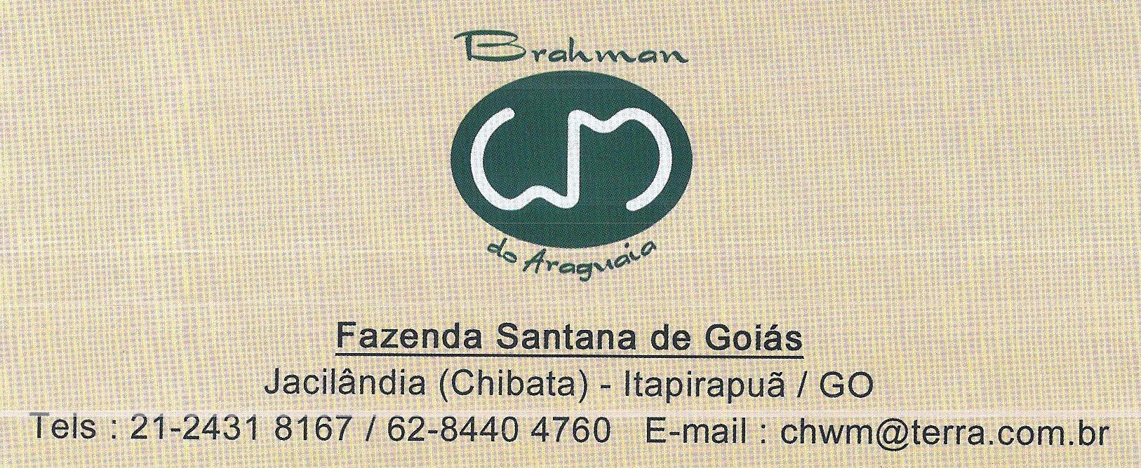 Brahman do Araguaia