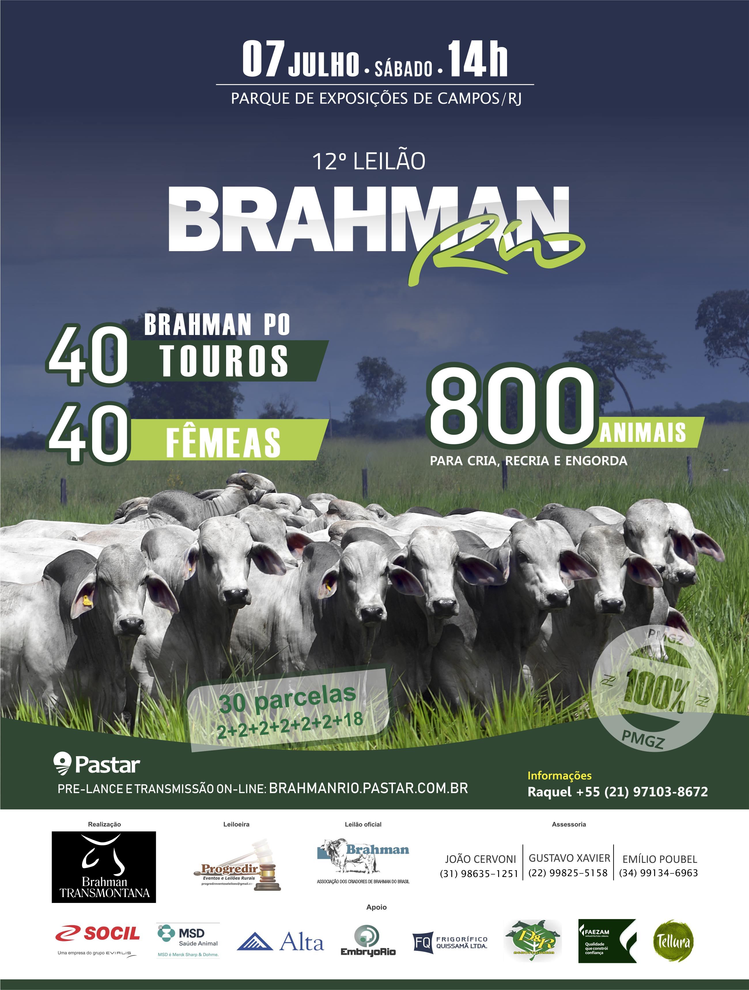 12 Brahman Rio 2018 acbb2