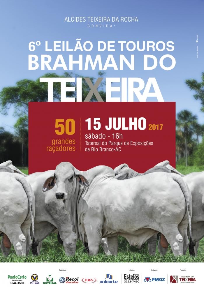 6º LEILÃO DE TOUROS BRAHMAN DO TEIXEIRA
