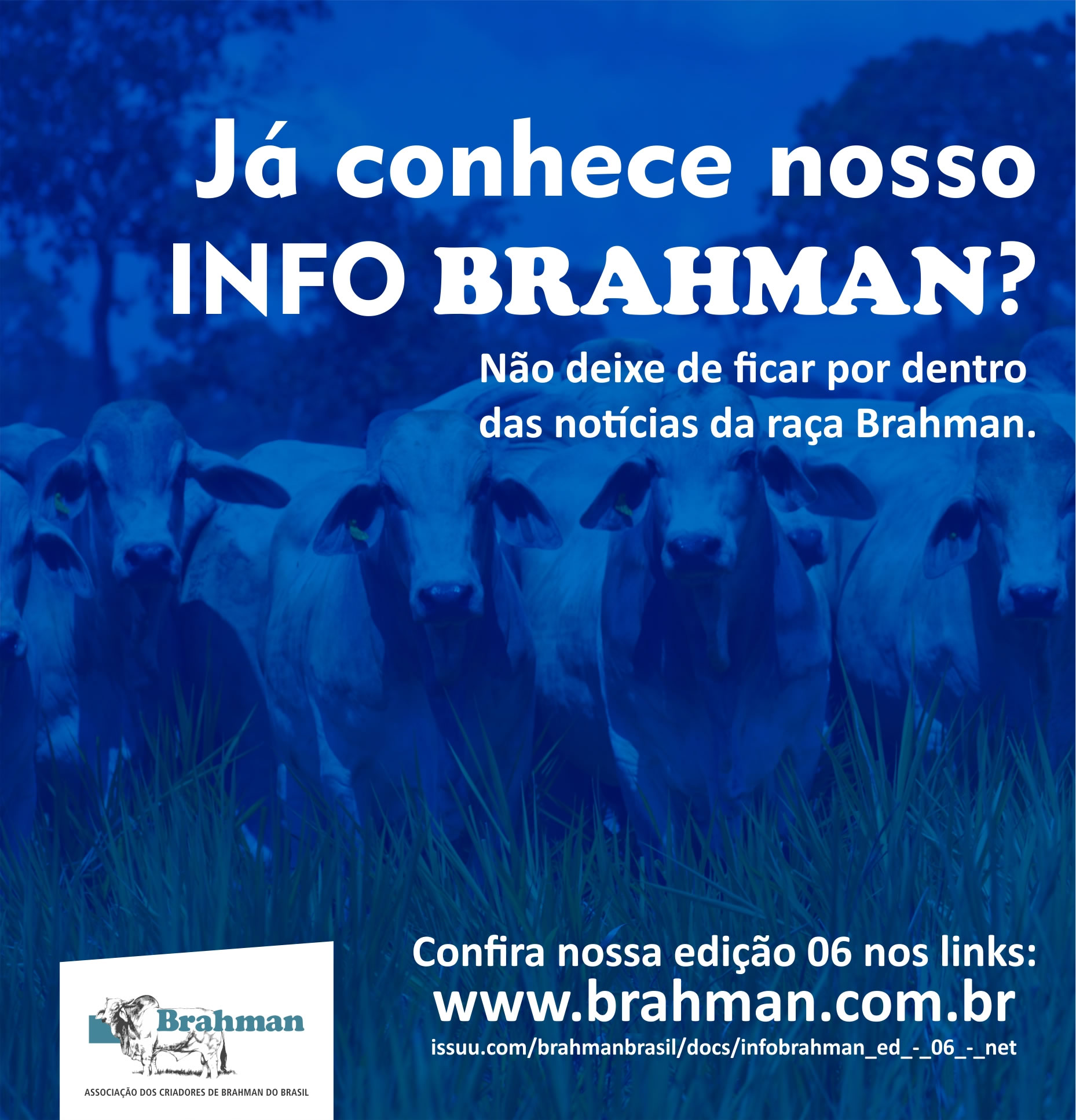 0infobrahman ed06
