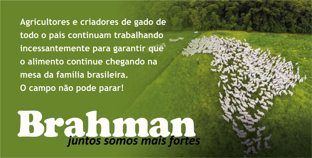 BRAHMAN: juntos somos mais fortes