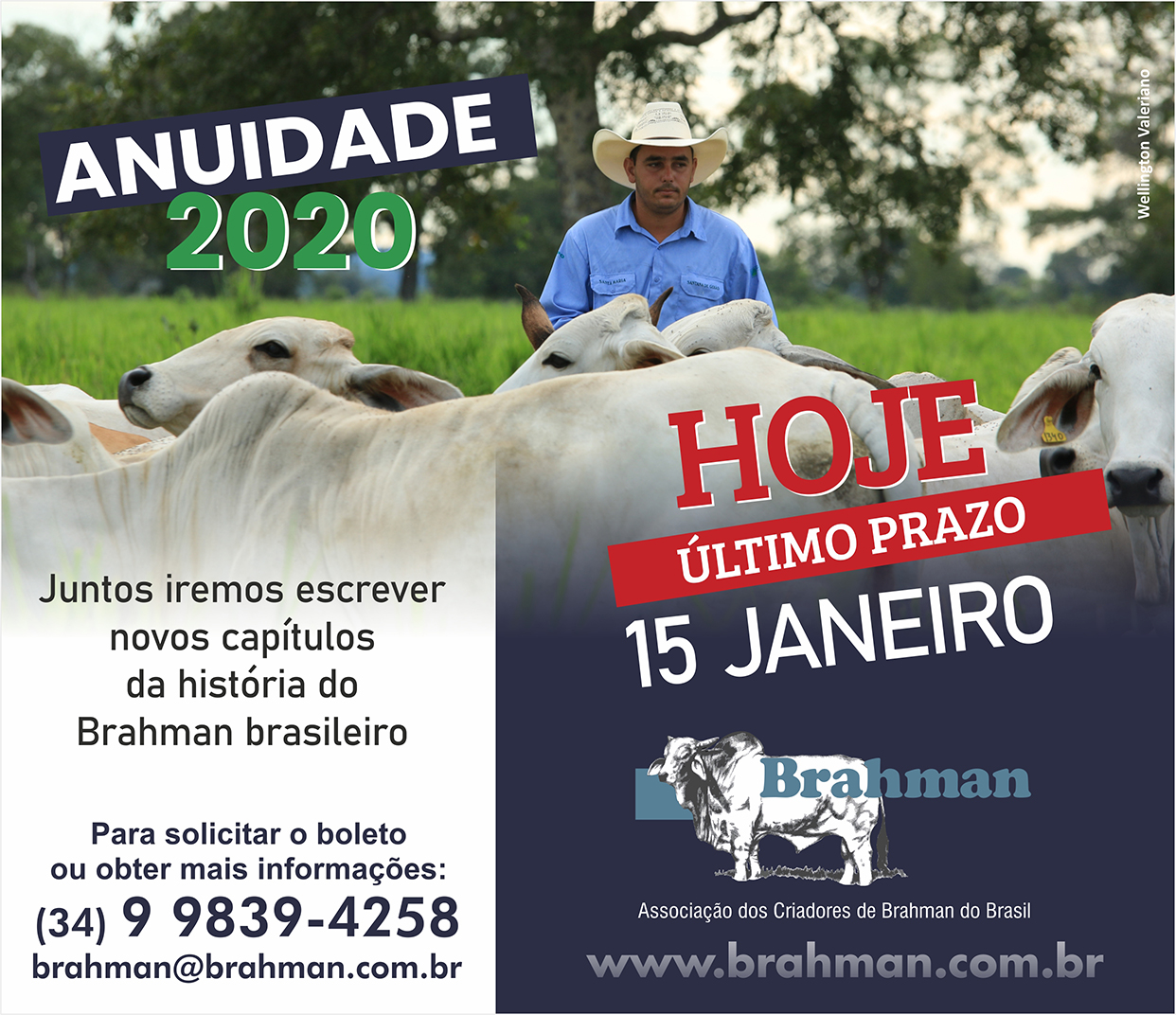 ACBB 2020 anuidade2020