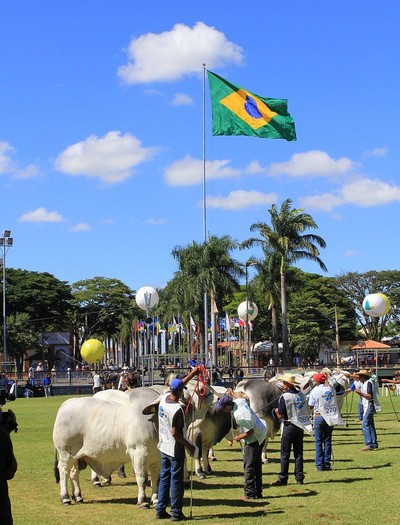 brahman