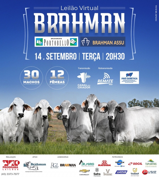 leilao virtual brahman brahman portobello e brahman assu