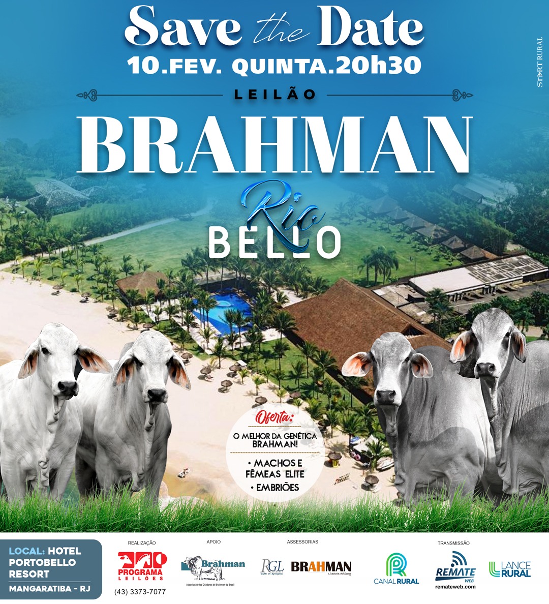 Leilão Brahman Rio Bello 2022