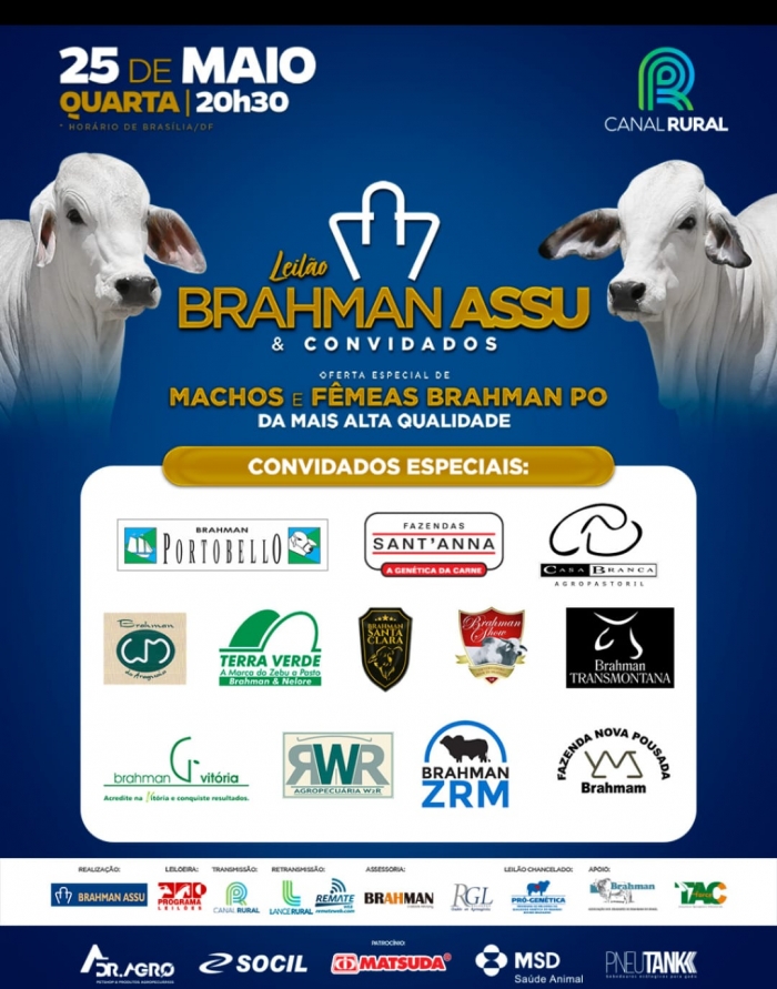  Leilão Virtual Brahman Assu & Convidados