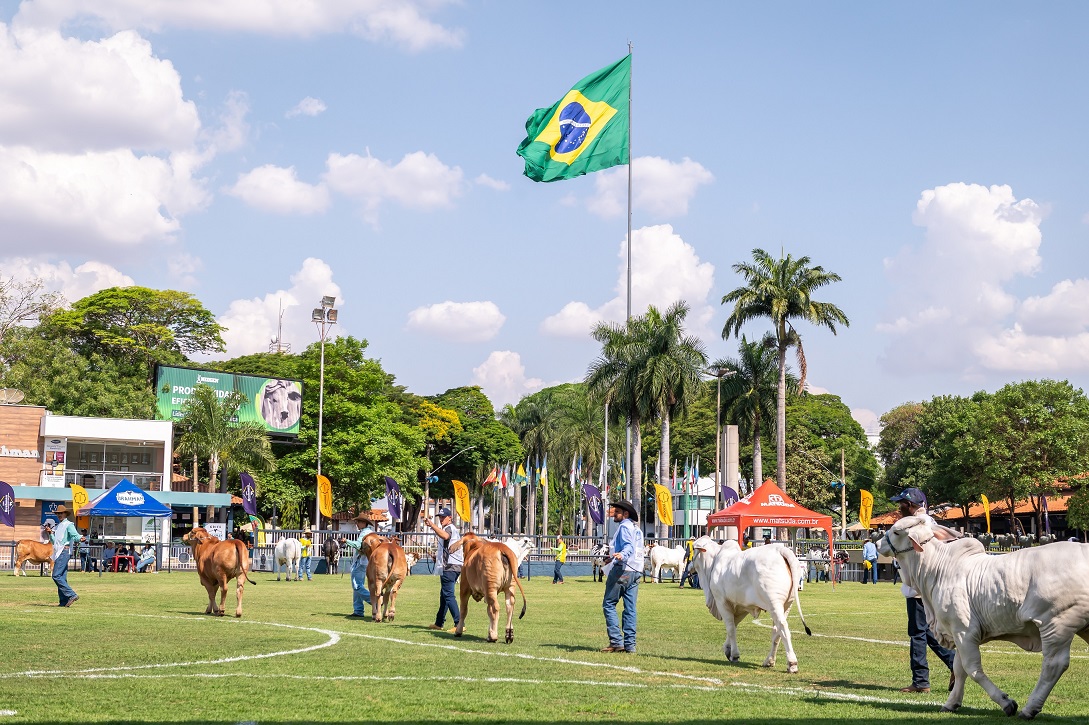 20ª ExpoBrahman anuncia grandes campeões