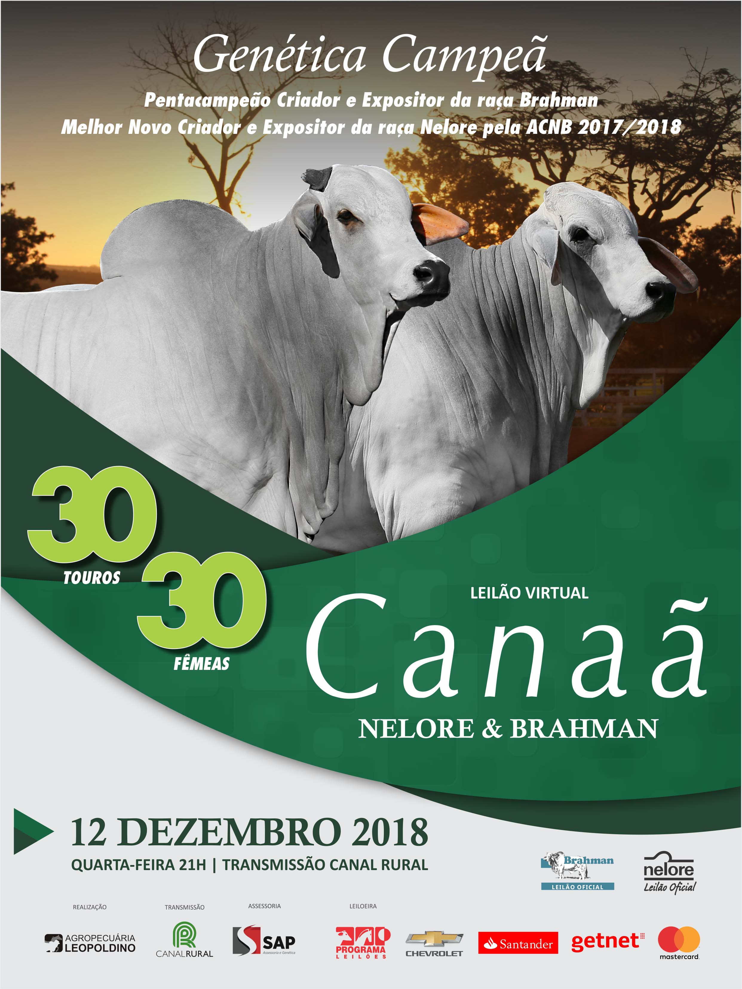 canaa B