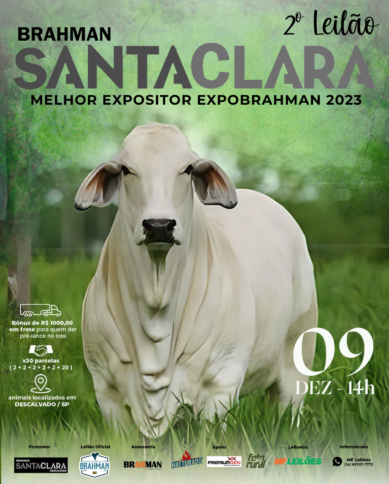 2º Leilão Brahman Santa Clara