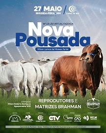16º Leilão Virtual Fazenda Nova Pousada