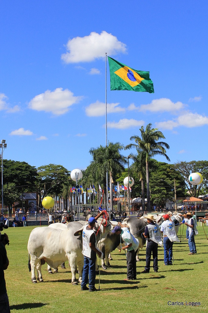 brahman