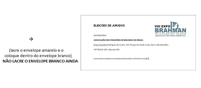 eleicoes envelope
