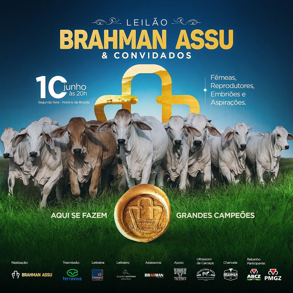 Leilão Brahman ASSU e Convidados