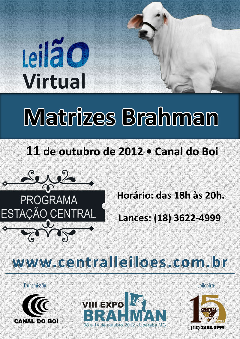 leilaovirtual2