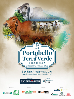 2º Leilão Portobello e Terra Verde