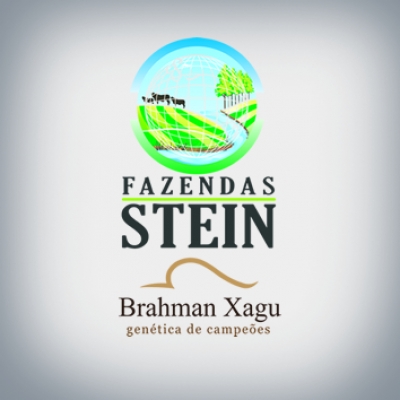 Fazendas Stein