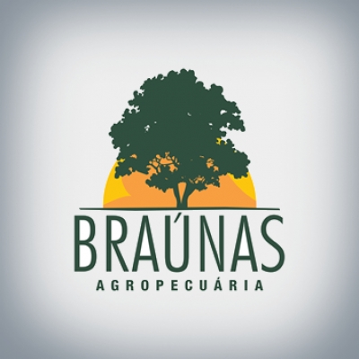 Fazenda Bra&uacute;nas