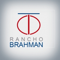 Rancho Brahman